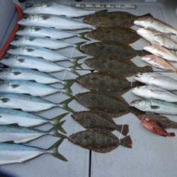 磯部釣船 直栄丸 釣果