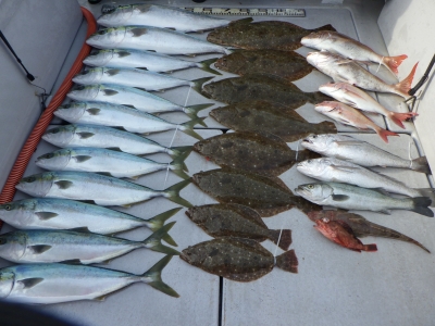 磯部釣船 直栄丸 釣果