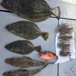 磯部釣船 直栄丸 釣果