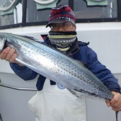 磯部釣船 直栄丸 釣果