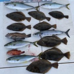 さぶろう丸 釣果