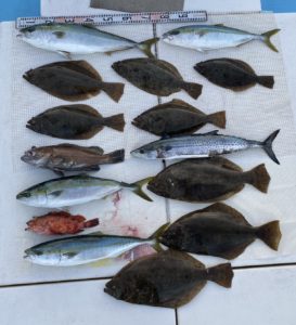 さぶろう丸 釣果