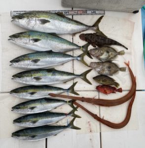 さぶろう丸 釣果