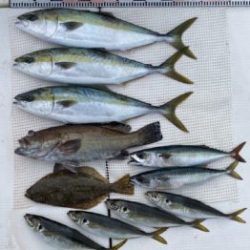 さぶろう丸 釣果