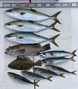 さぶろう丸 釣果