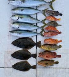 さぶろう丸 釣果