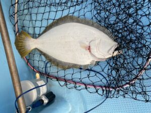 さぶろう丸 釣果