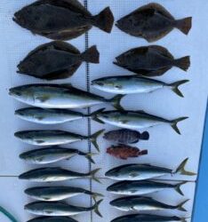 さぶろう丸 釣果