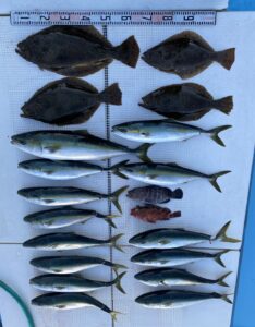 さぶろう丸 釣果