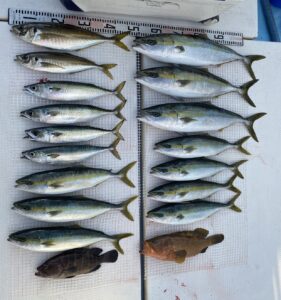 さぶろう丸 釣果