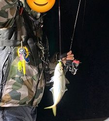 フィシングボートAir(エアー) 釣果