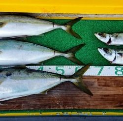 火遠理丸(ほおりまる) 釣果