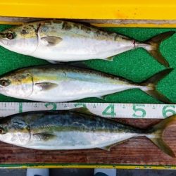 火遠理丸(ほおりまる) 釣果