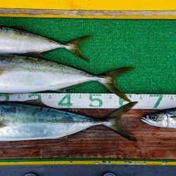 火遠理丸(ほおりまる) 釣果