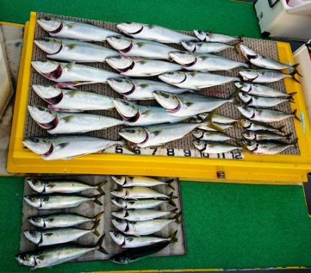 火遠理丸（ほおりまる） 釣果