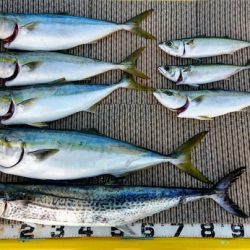 火遠理丸（ほおりまる） 釣果