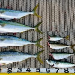 火遠理丸（ほおりまる） 釣果