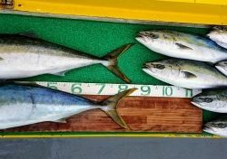 火遠理丸(ほおりまる) 釣果