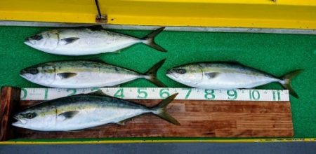 火遠理丸(ほおりまる) 釣果