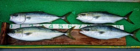 火遠理丸(ほおりまる) 釣果