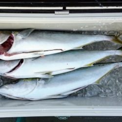 火遠理丸(ほおりまる) 釣果