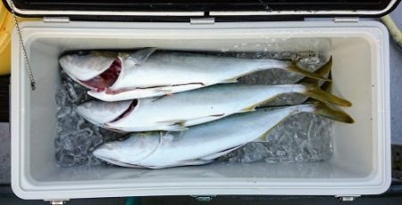 火遠理丸(ほおりまる) 釣果