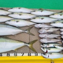 火遠理丸(ほおりまる) 釣果