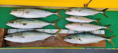 火遠理丸（ほおりまる） 釣果