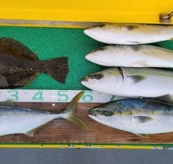 火遠理丸(ほおりまる) 釣果