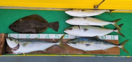 火遠理丸(ほおりまる) 釣果