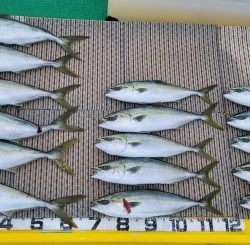 火遠理丸(ほおりまる) 釣果