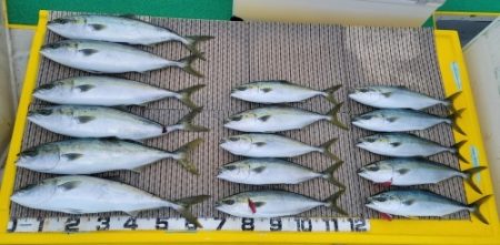 火遠理丸（ほおりまる） 釣果