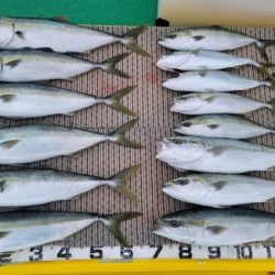 火遠理丸(ほおりまる) 釣果