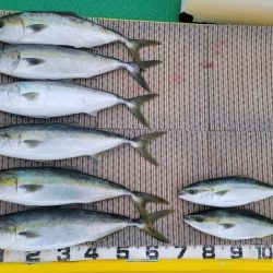 火遠理丸(ほおりまる) 釣果