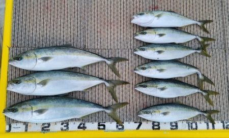 火遠理丸(ほおりまる) 釣果