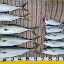 火遠理丸(ほおりまる) 釣果