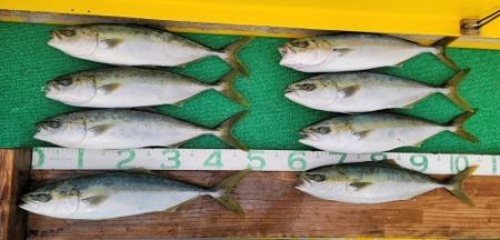 火遠理丸(ほおりまる) 釣果