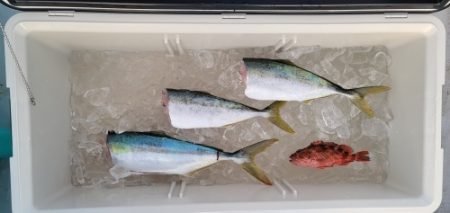 火遠理丸(ほおりまる) 釣果