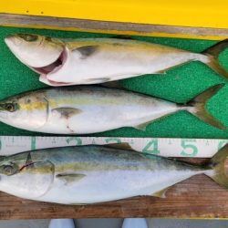 火遠理丸(ほおりまる) 釣果