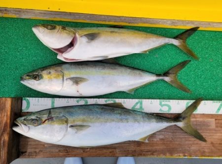 火遠理丸(ほおりまる) 釣果