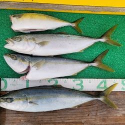 火遠理丸(ほおりまる) 釣果