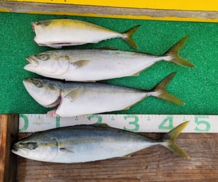 火遠理丸(ほおりまる) 釣果