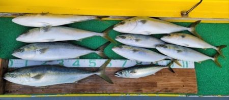 火遠理丸(ほおりまる) 釣果