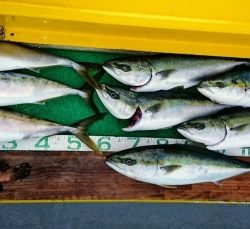 火遠理丸(ほおりまる) 釣果