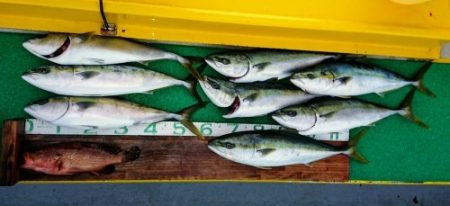 火遠理丸(ほおりまる) 釣果