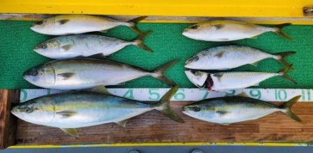 火遠理丸(ほおりまる) 釣果