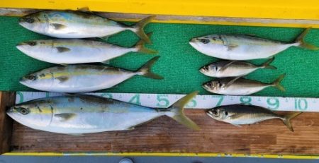 火遠理丸(ほおりまる) 釣果