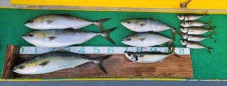 火遠理丸(ほおりまる) 釣果