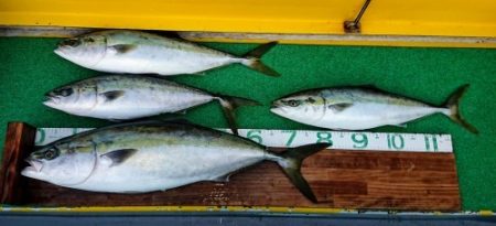 火遠理丸(ほおりまる) 釣果