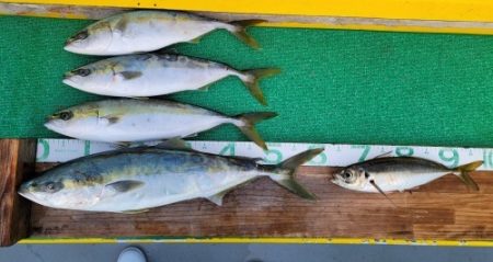 火遠理丸(ほおりまる) 釣果